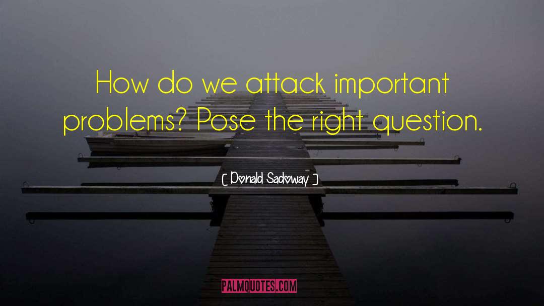 Donald Sadoway Quotes: How do we attack important