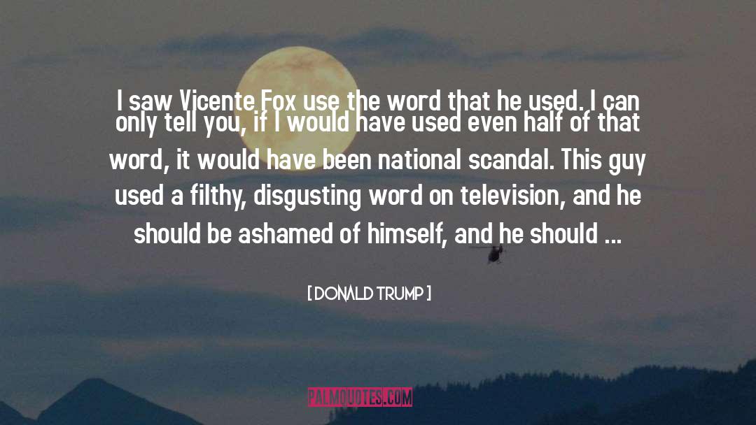 Donald Trump Quotes: I saw Vicente Fox use
