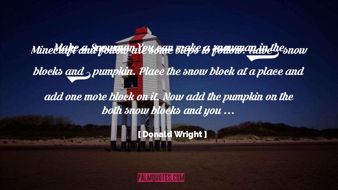 Donald Wright Quotes: Make a Snowman You can