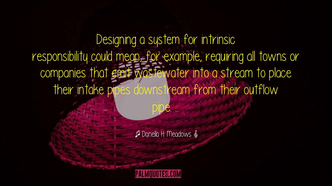 Donella H. Meadows Quotes: Designing a system for intrinsic