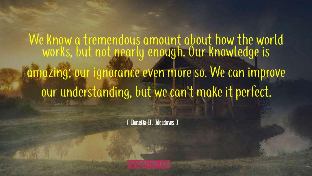 Donella H. Meadows Quotes: We know a tremendous amount