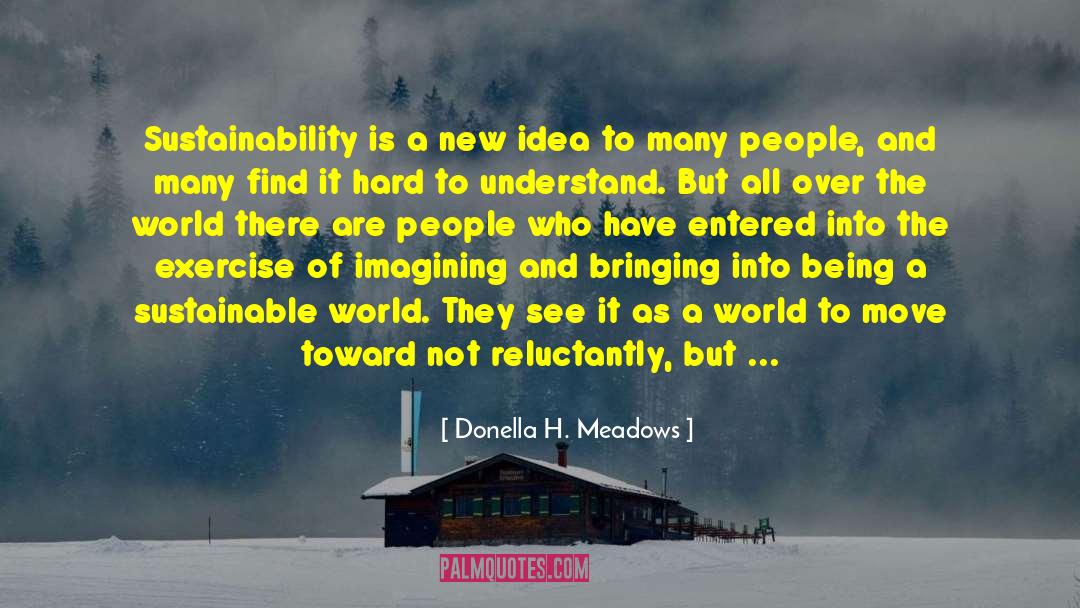 Donella H. Meadows Quotes: Sustainability is a new idea