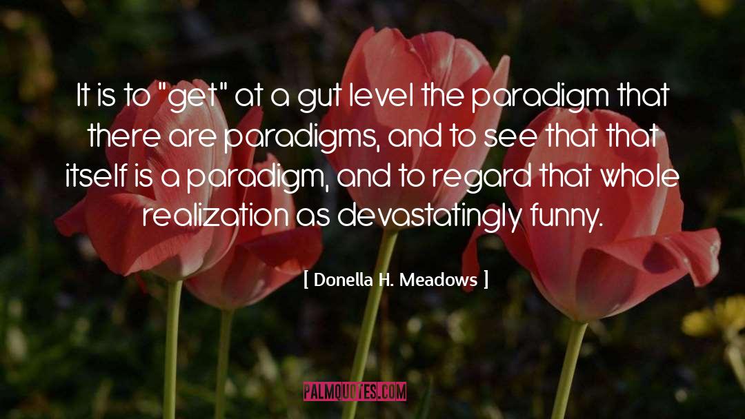 Donella H. Meadows Quotes: It is to 