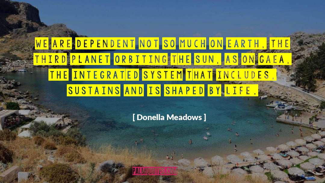 Donella Meadows Quotes: We are dependent not so