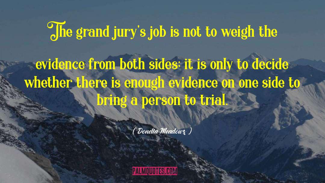 Donella Meadows Quotes: The grand jury's job is