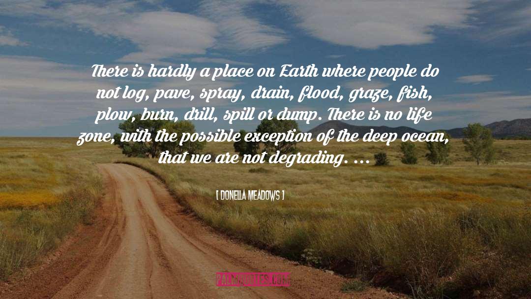 Donella Meadows Quotes: There is hardly a place