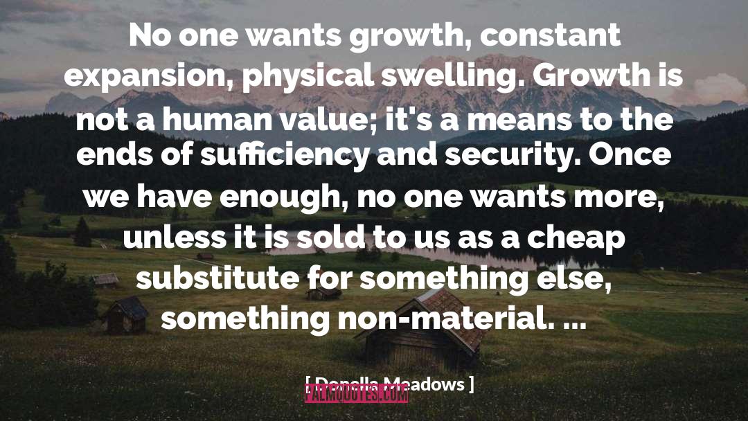 Donella Meadows Quotes: No one wants growth, constant