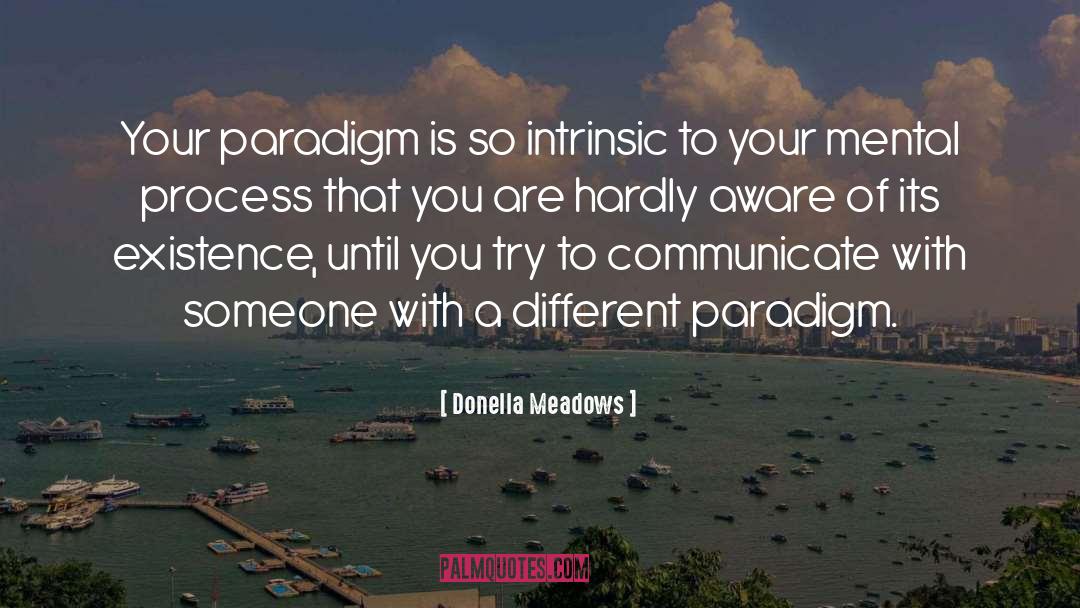 Donella Meadows Quotes: Your paradigm is so intrinsic