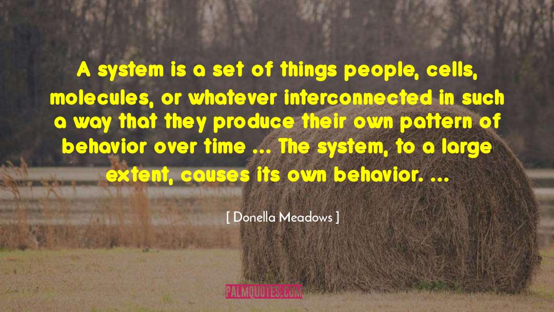 Donella Meadows Quotes: A system is a set