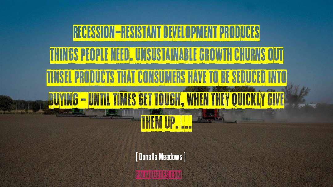 Donella Meadows Quotes: Recession-resistant development produces things people