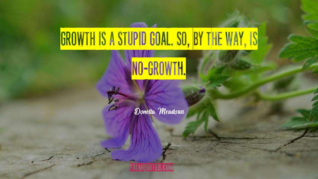 Donella Meadows Quotes: Growth is a stupid goal.