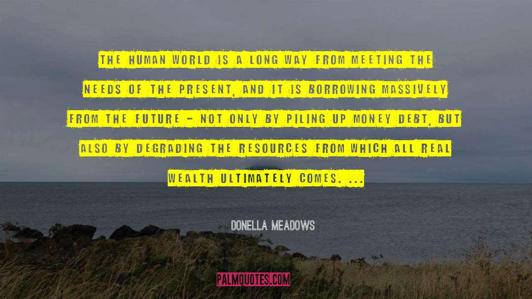 Donella Meadows Quotes: The human world is a