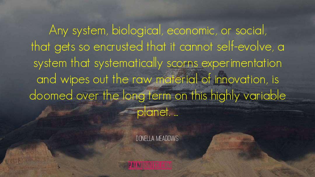 Donella Meadows Quotes: Any system, biological, economic, or