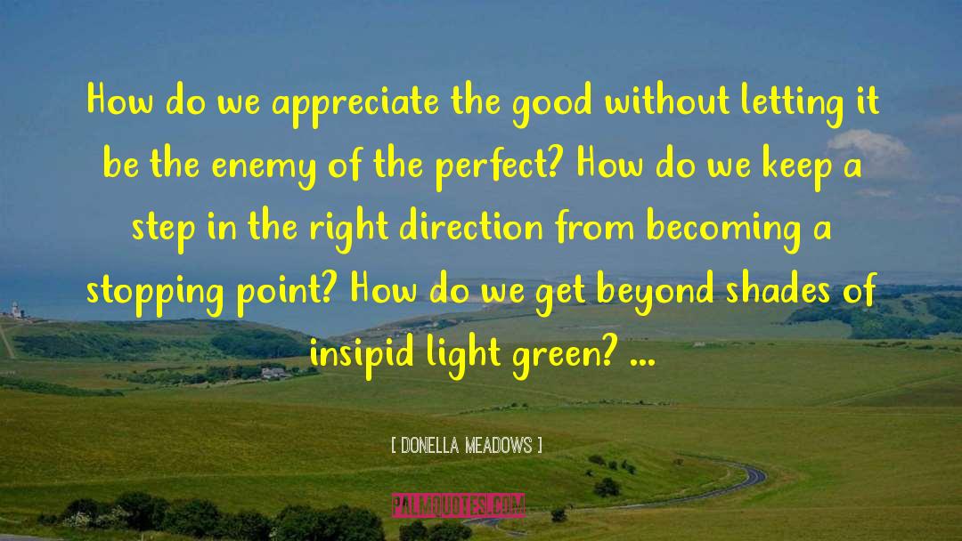 Donella Meadows Quotes: How do we appreciate the