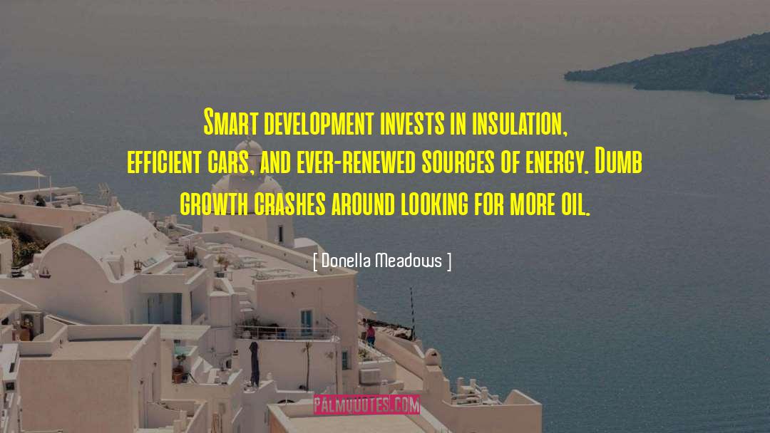Donella Meadows Quotes: Smart development invests in insulation,
