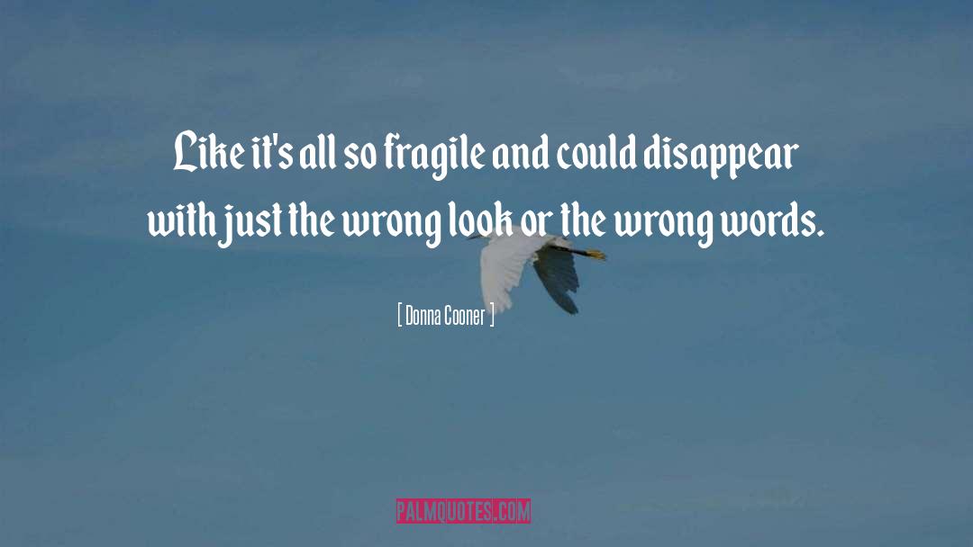 Donna Cooner Quotes: Like it's all so fragile