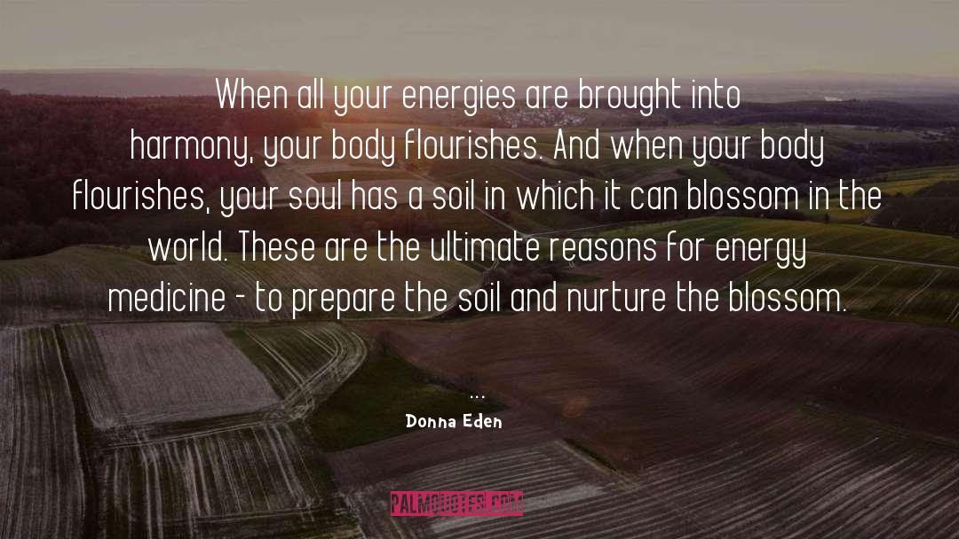 Donna Eden Quotes: When all your energies are