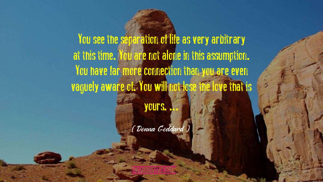 Donna Goddard Quotes: You see the separation of