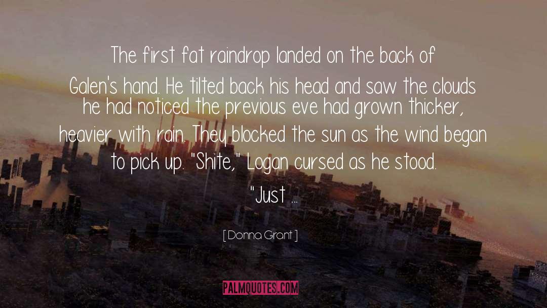 Donna Grant Quotes: The first fat raindrop landed