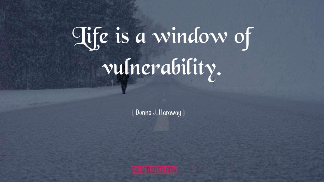 Donna J. Haraway Quotes: Life is a window of