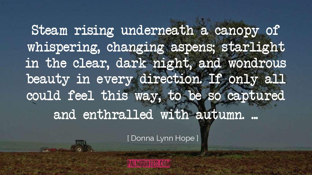 Donna Lynn Hope Quotes: Steam rising underneath a canopy