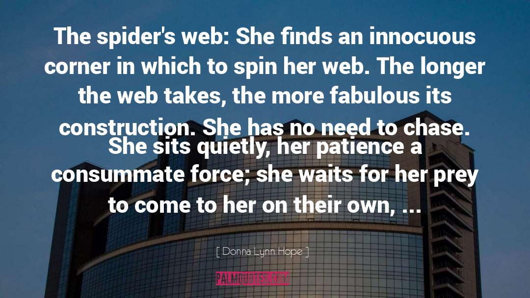 Donna Lynn Hope Quotes: The spider's web: She finds