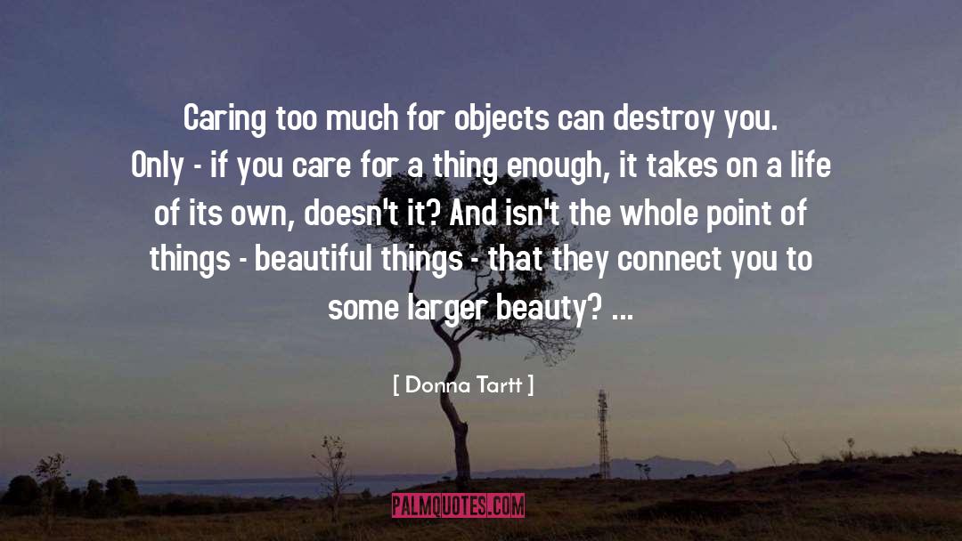 Donna Tartt Quotes: Caring too much for objects