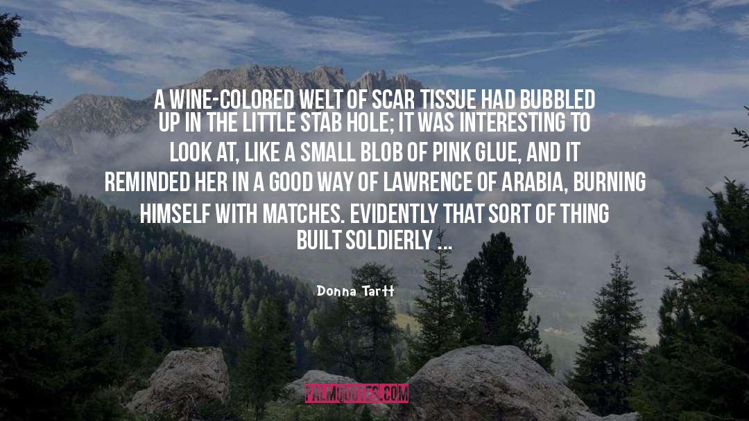 Donna Tartt Quotes: A wine-colored welt of scar
