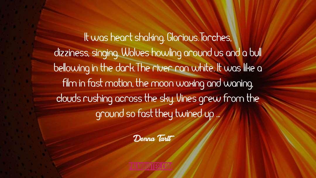 Donna Tartt Quotes: It was heart-shaking. Glorious. Torches,