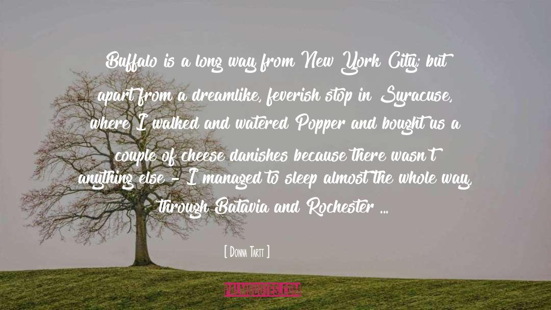 Donna Tartt Quotes: Buffalo is a long way