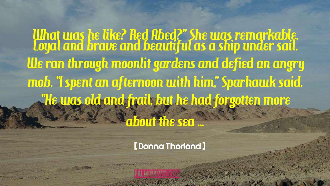 Donna Thorland Quotes: What was he like? Red