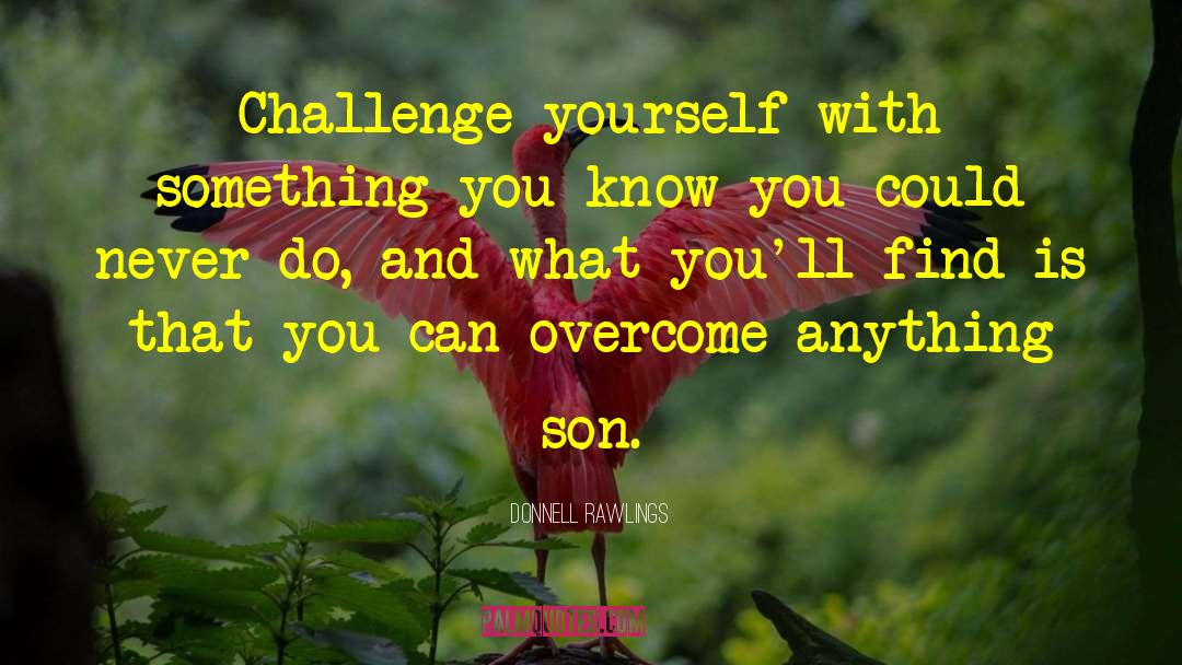 Donnell Rawlings Quotes: Challenge yourself with something you