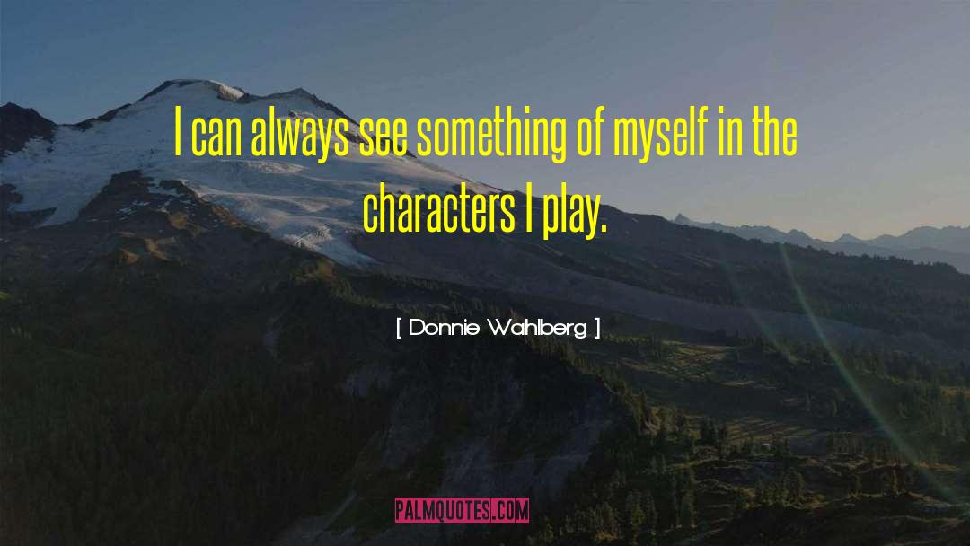 Donnie Wahlberg Quotes: I can always see something