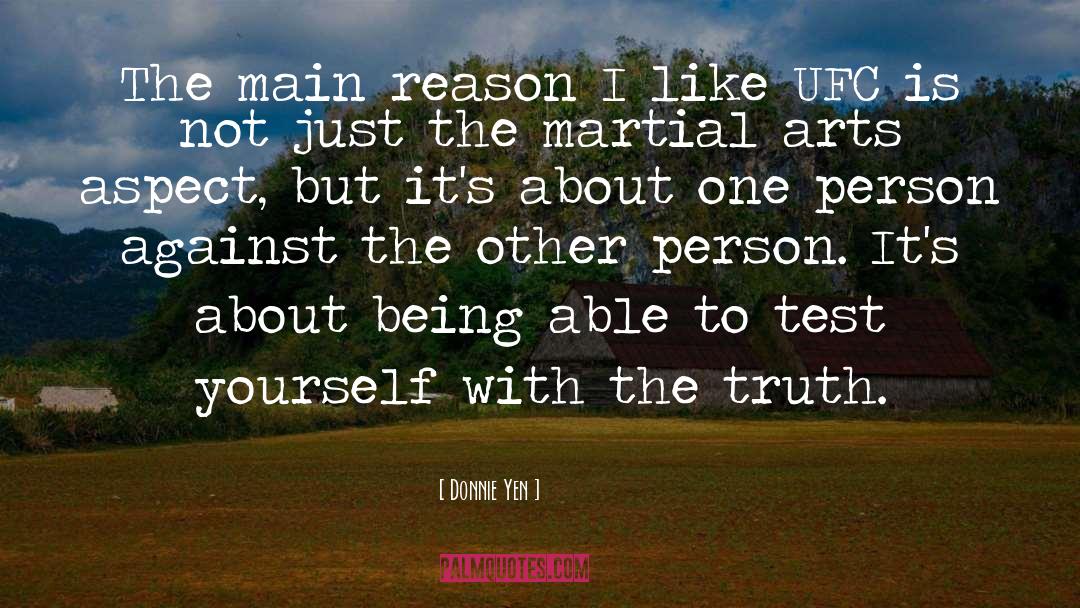 Donnie Yen Quotes: The main reason I like