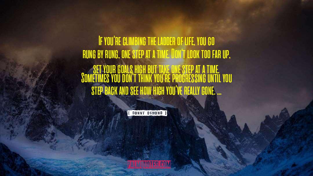 Donny Osmond Quotes: If you're climbing the ladder