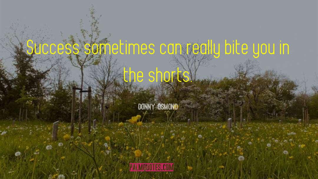 Donny Osmond Quotes: Success sometimes can really bite