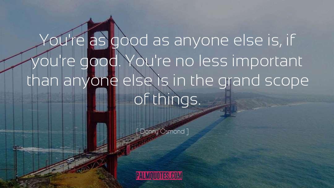 Donny Osmond Quotes: You're as good as anyone