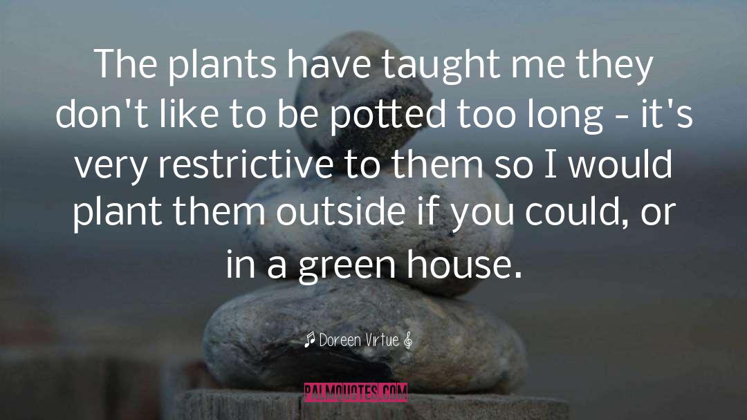 Doreen Virtue Quotes: The plants have taught me