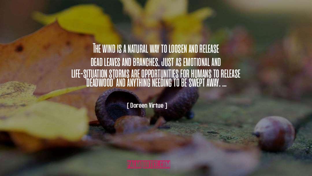 Doreen Virtue Quotes: The wind is a natural