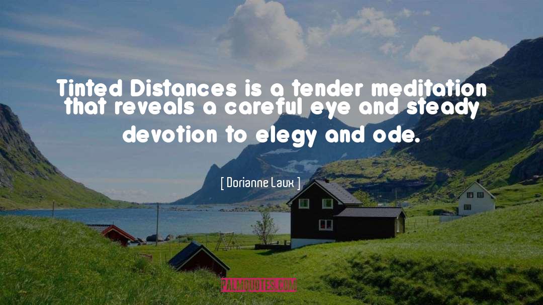 Dorianne Laux Quotes: Tinted Distances is a tender