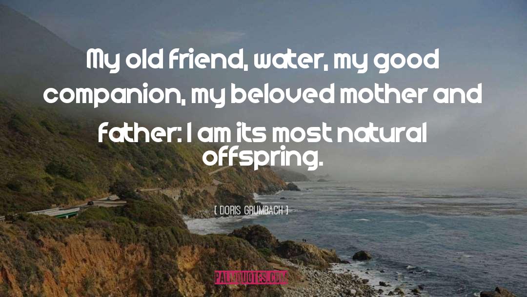 Doris Grumbach Quotes: My old friend, water, my