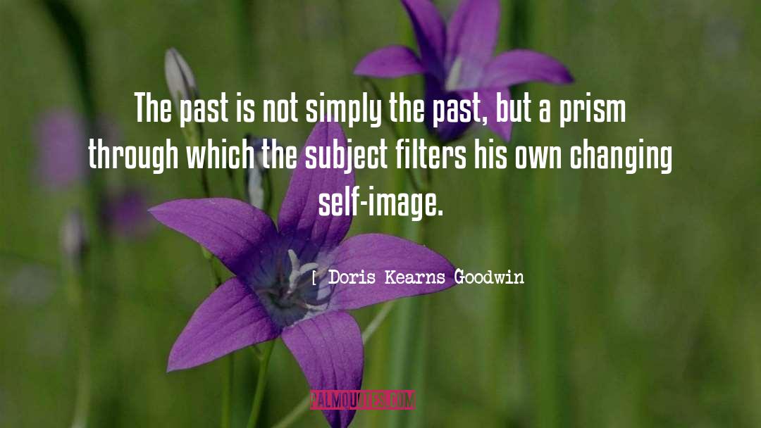 Doris Kearns Goodwin Quotes: The past is not simply