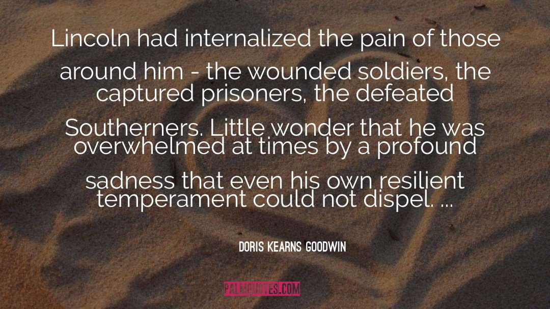 Doris Kearns Goodwin Quotes: Lincoln had internalized the pain