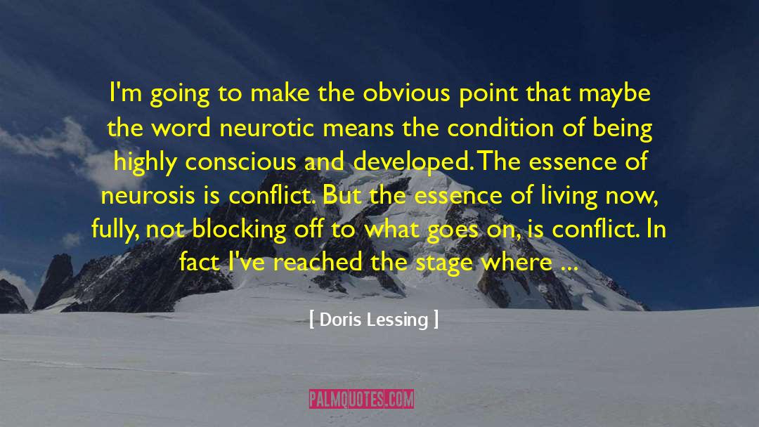 Doris Lessing Quotes: I'm going to make the