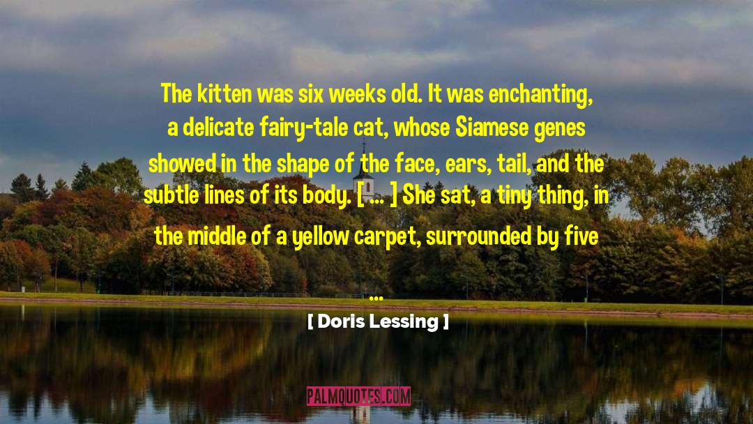 Doris Lessing Quotes: The kitten was six weeks