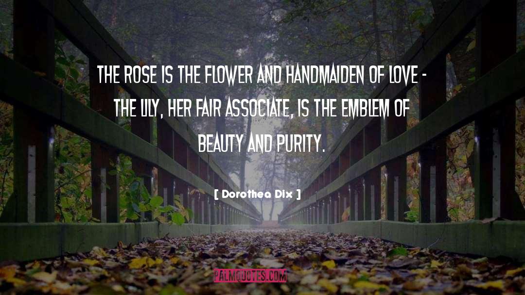 Dorothea Dix Quotes: The rose is the flower