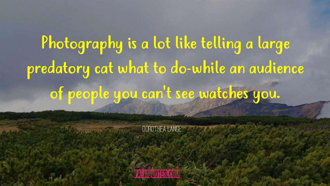 Dorothea Lange Quotes: Photography is a lot like