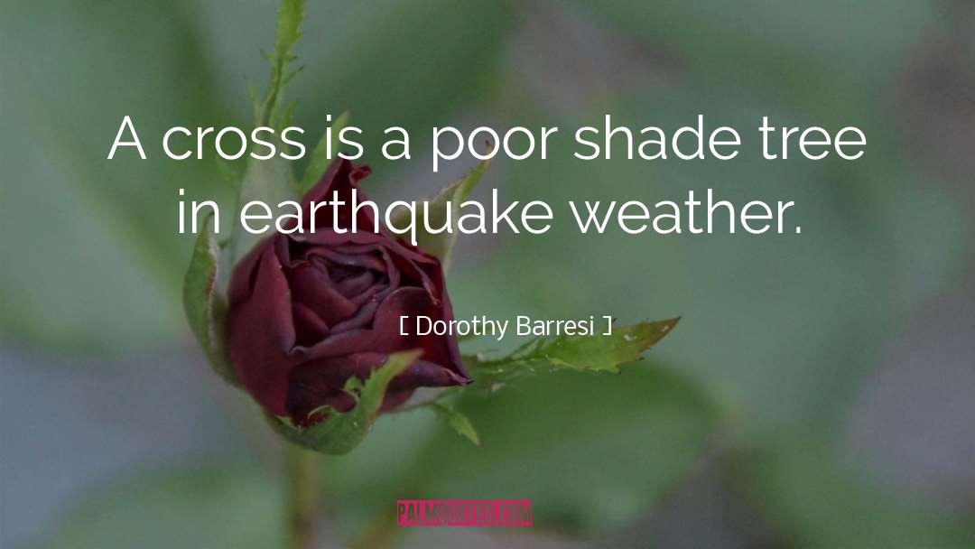 Dorothy Barresi Quotes: A cross is a poor