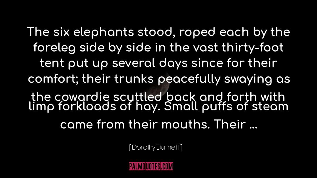 Dorothy Dunnett Quotes: The six elephants stood, roped