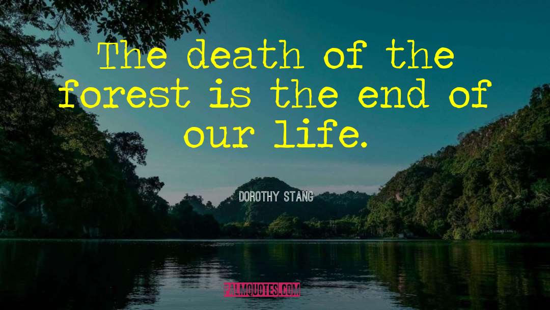 Dorothy Stang Quotes: The death of the forest